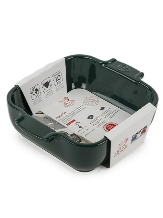 Peugeot Saveurs Appolia^ Auflaufformen