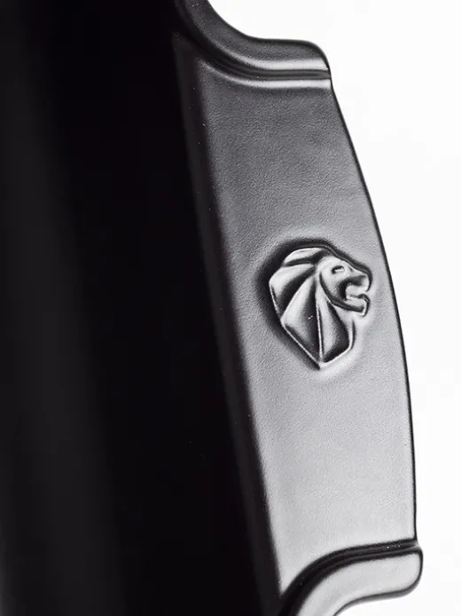 Peugeot Saveurs Appolia^ Auflaufformen