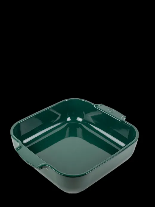Peugeot Saveurs Appolia^ Auflaufformen