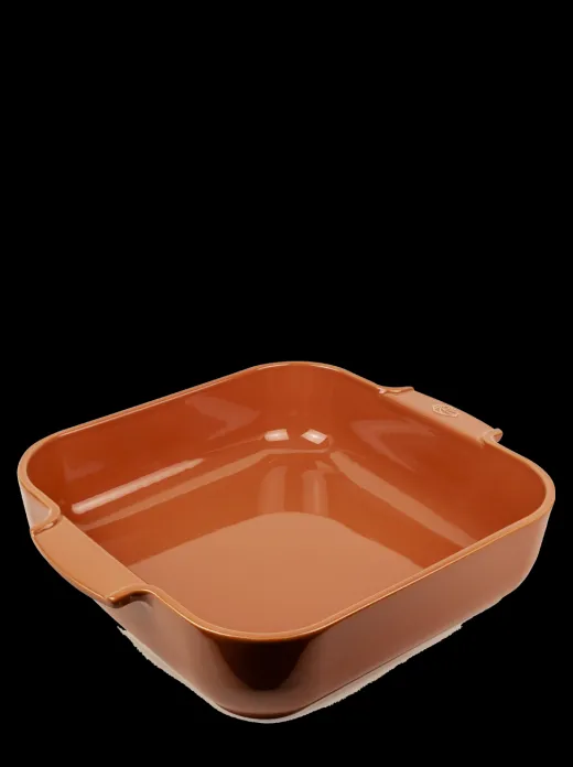 Peugeot Saveurs Appolia^ Auflaufformen