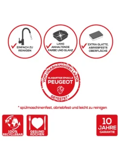 Peugeot Saveurs Appolia^ Auflaufformen