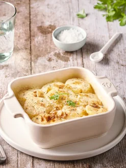 Peugeot Saveurs Appolia^ Auflaufformen
