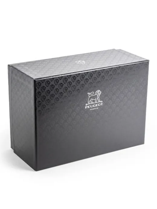 Peugeot Saveurs Maestro Linea Pack^ Hobbyköche & Feinschmecker|Gewürze