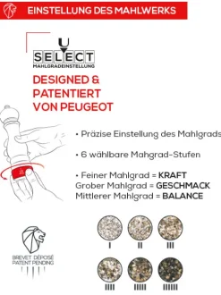 Peugeot Saveurs Paris u'Select^ Salzmühlen