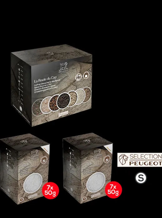 Peugeot Saveurs Rock Salt^ Gewürze