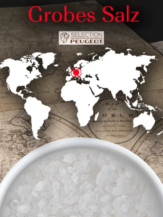 Peugeot Saveurs Rock Salt^ Gewürze