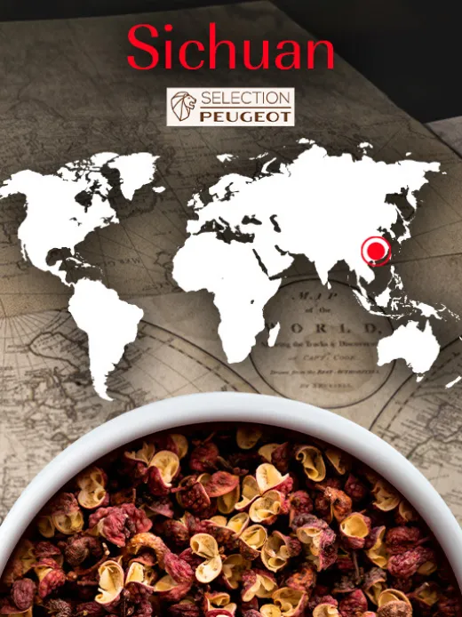 Peugeot Saveurs Sichuan^ Gewürze