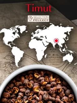 Peugeot Saveurs Timut^ Gewürze